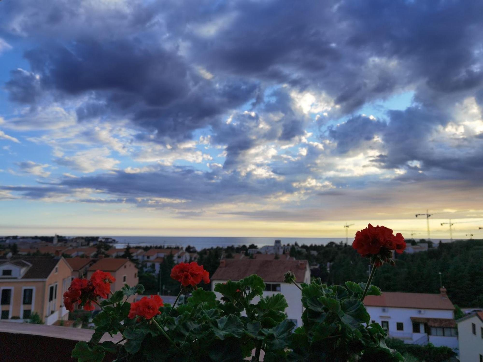 Apartment Diana Poreč